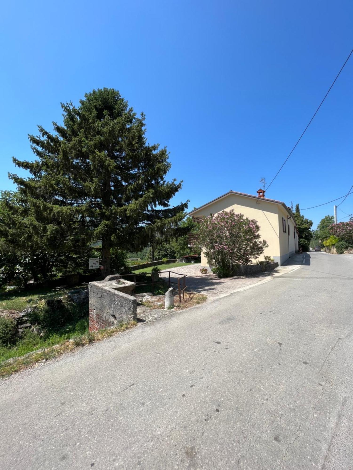 Apartmaji Klabjan - Kaki Osp Buitenkant foto